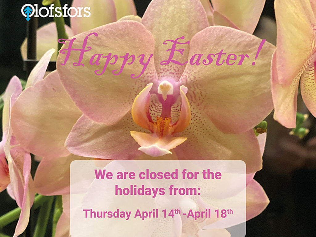 Our opening hours at Easter